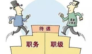 职务与职级并行制度