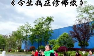 今生我在修佛缘原唱 今生我在修佛缘原唱