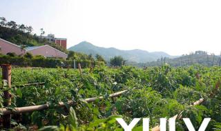 惠州海滨温泉度假村